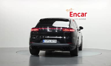 Cayenne (PO536)