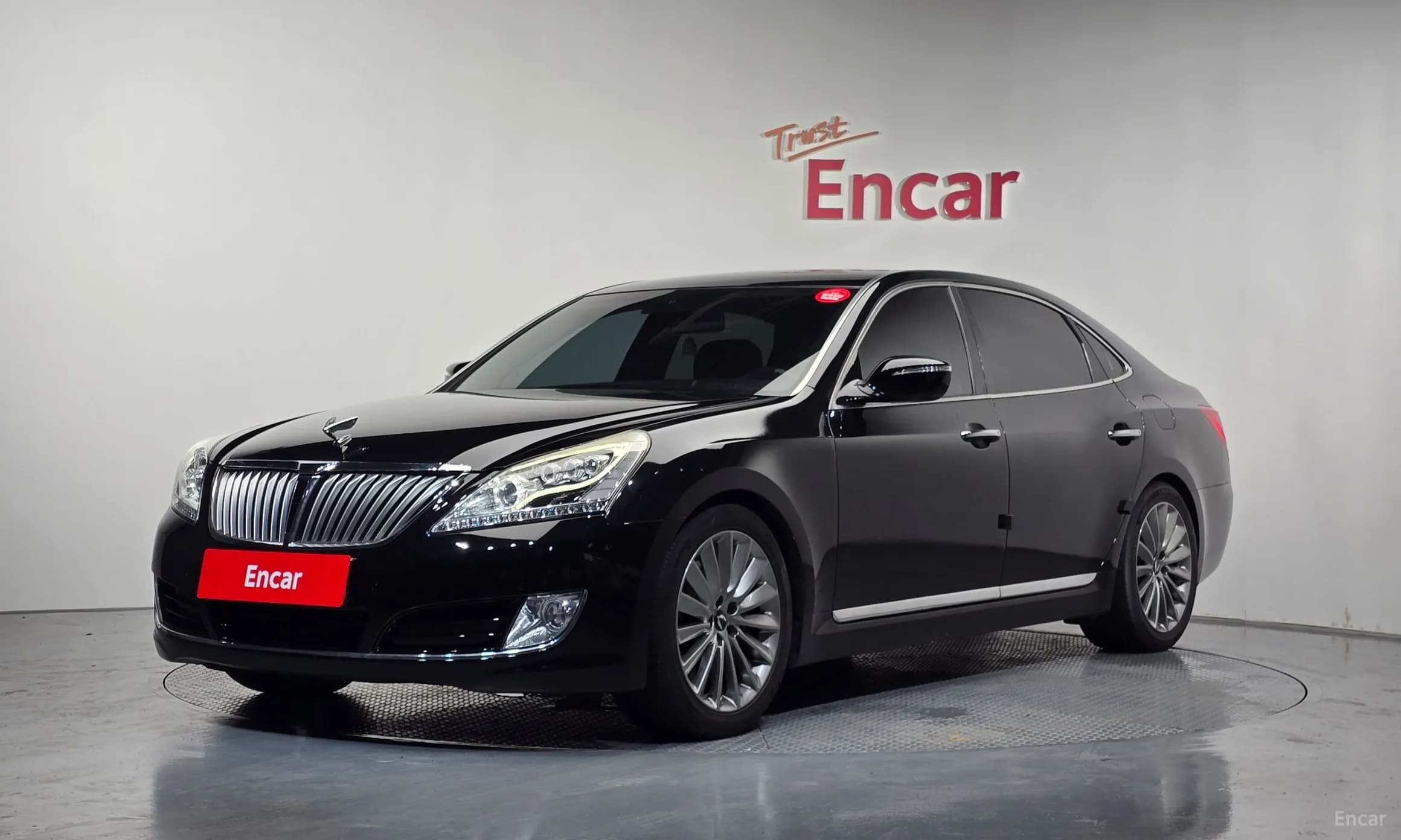 Equus (new)