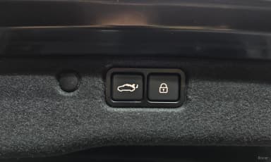 Equus (new)