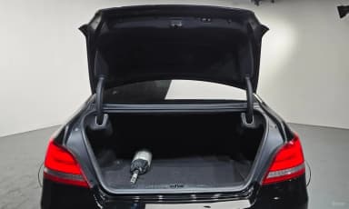 Equus (new)