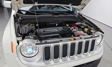 Renegade