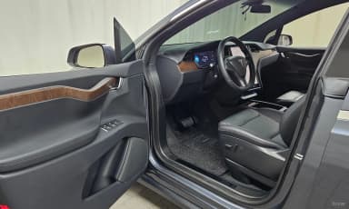 Model X