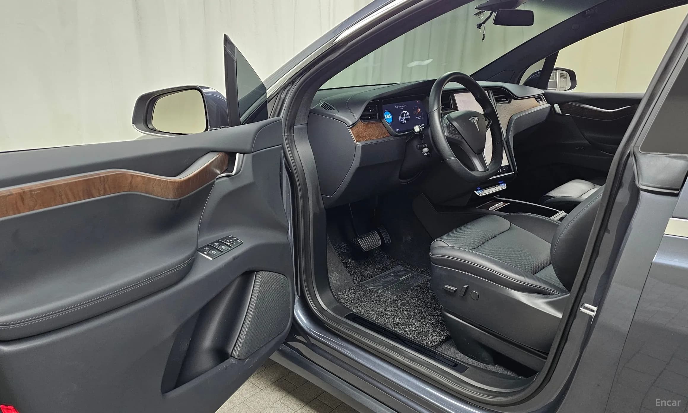 Model X
