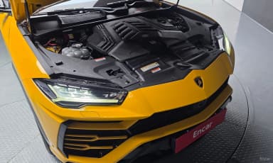 Urus
