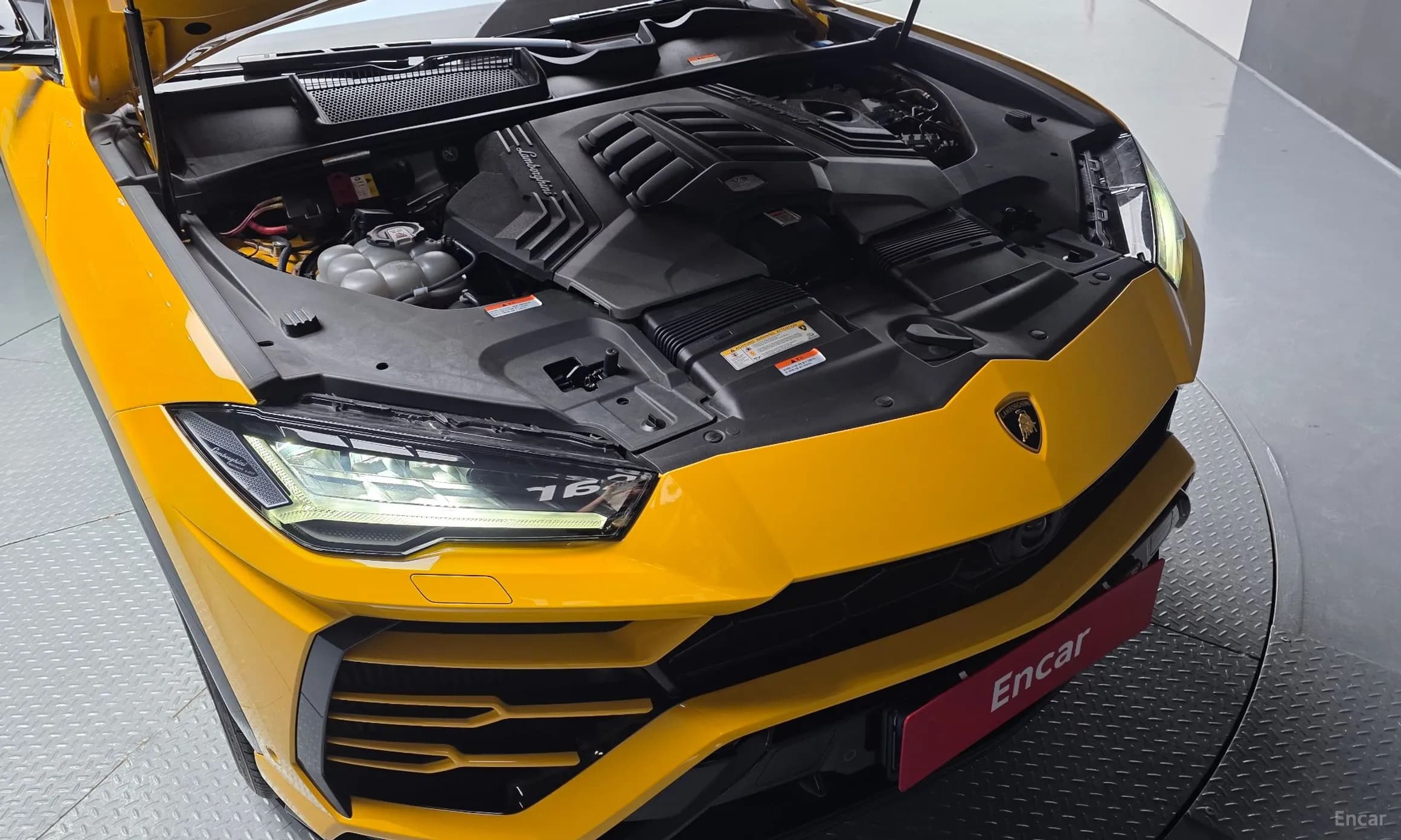 Urus