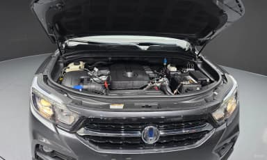 Rexton Sports