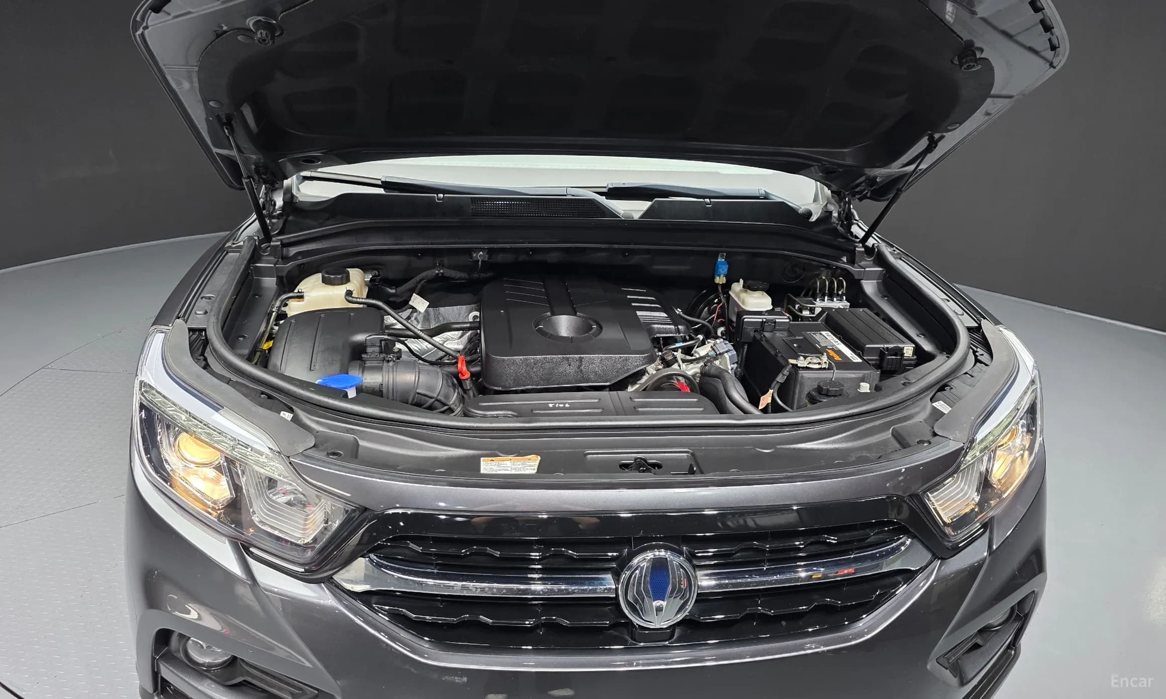 Rexton Sports