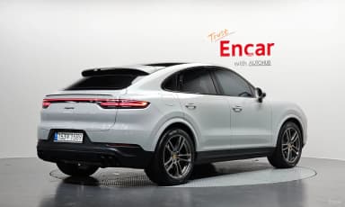 Cayenne (PO536)