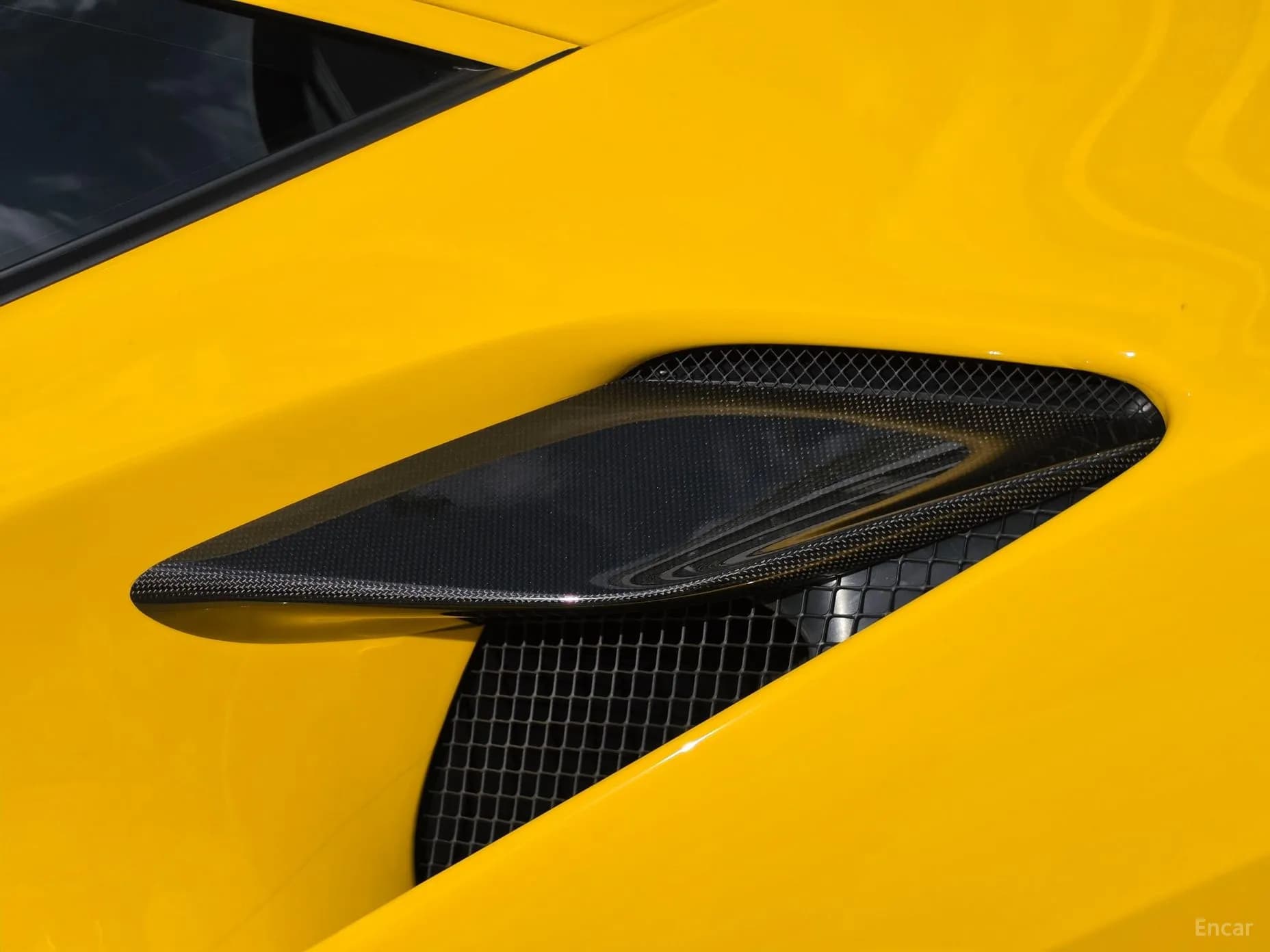 F8 Tributo