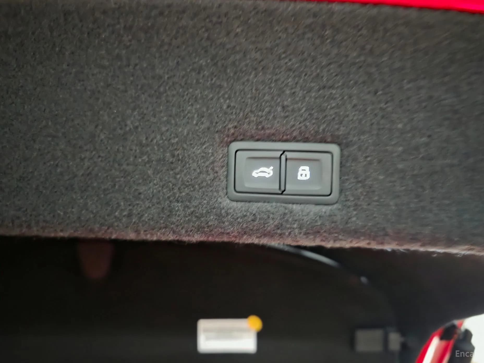 Urus