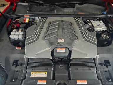 Urus