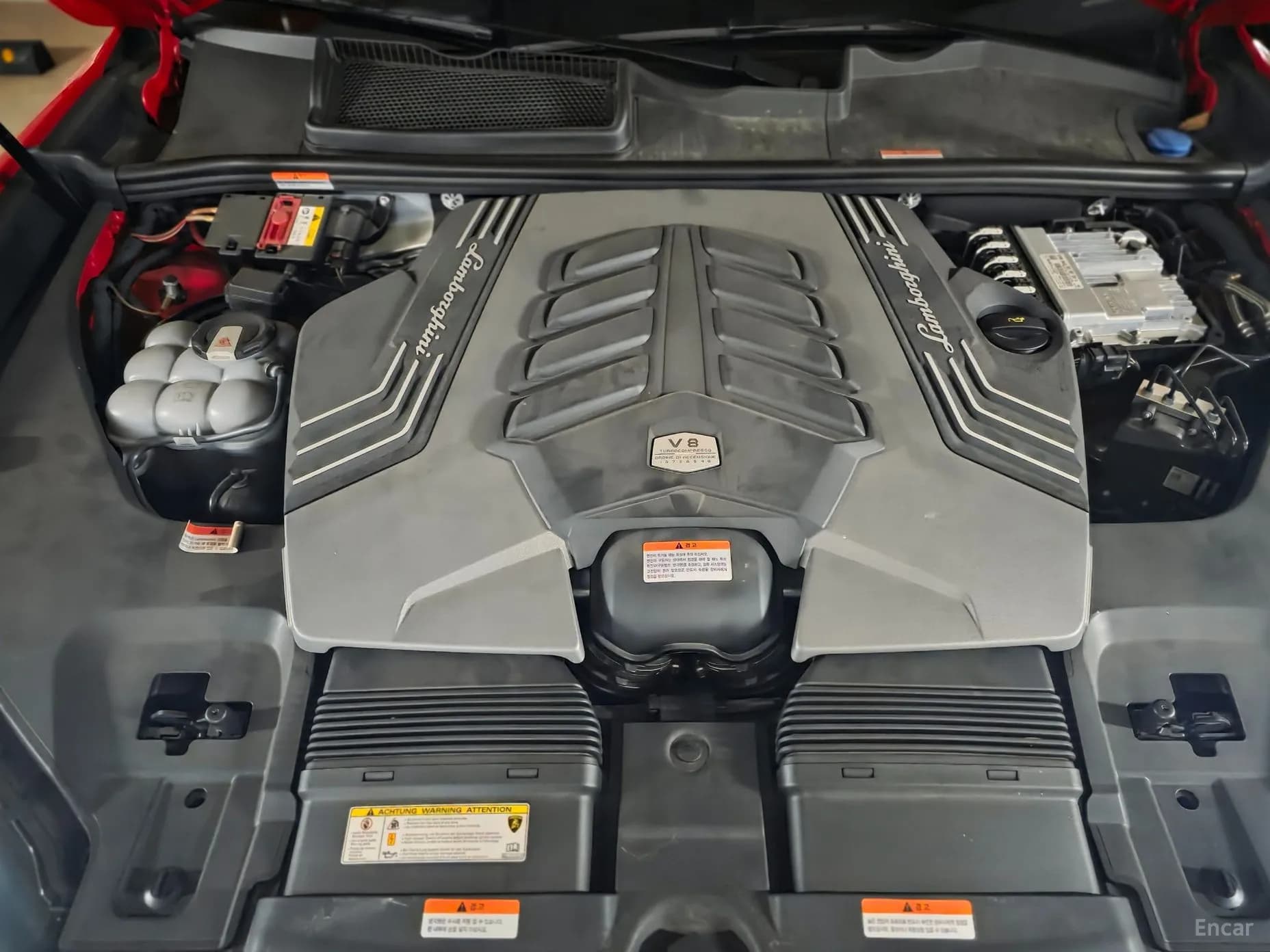 Urus
