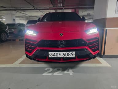 Urus