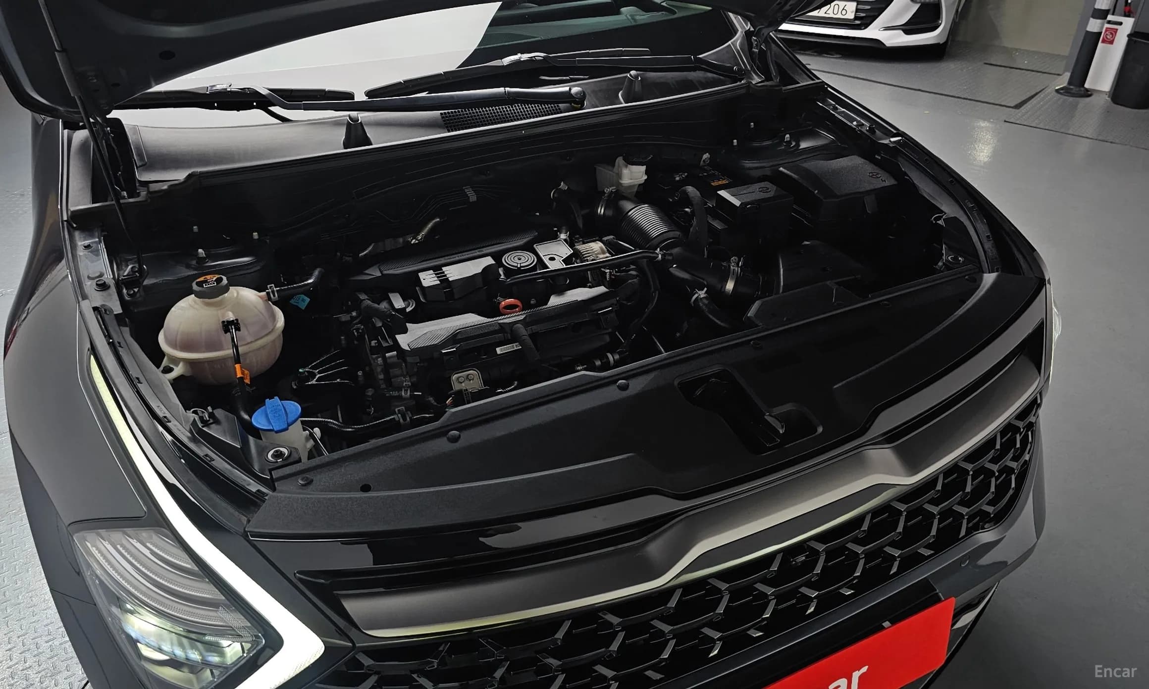 Sportage 5th Generation