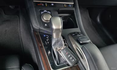 New ES300h