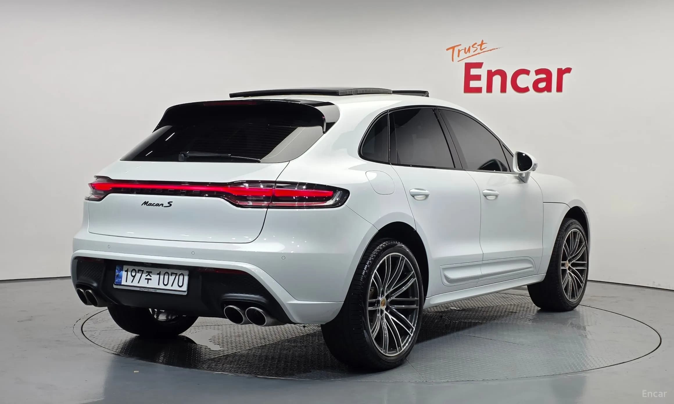 Macan