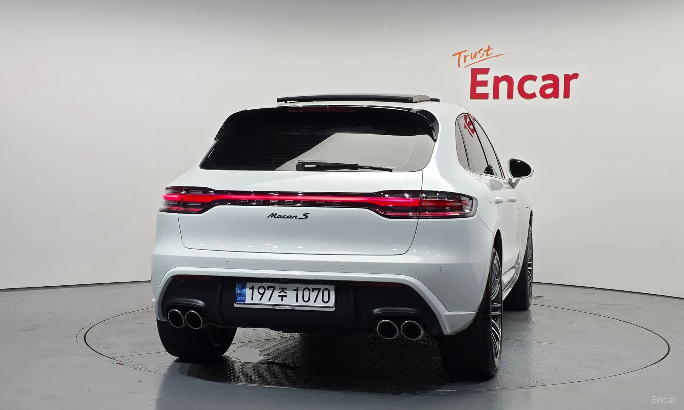 Macan