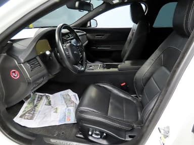 XF (x260)