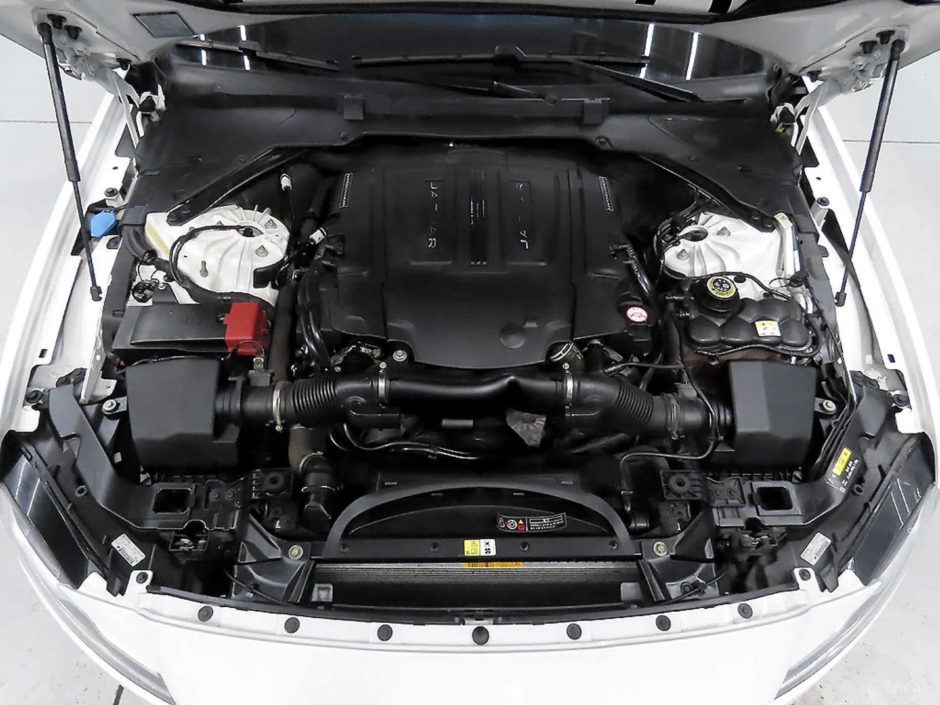 XF (x260)