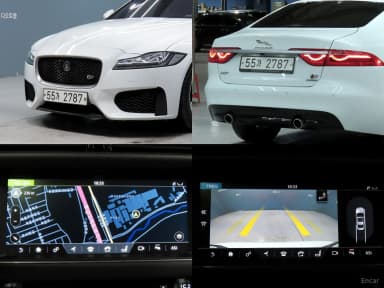 XF (x260)