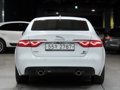 XF (x260)