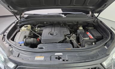 Rexton Sports