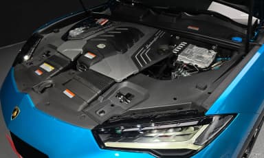 Urus