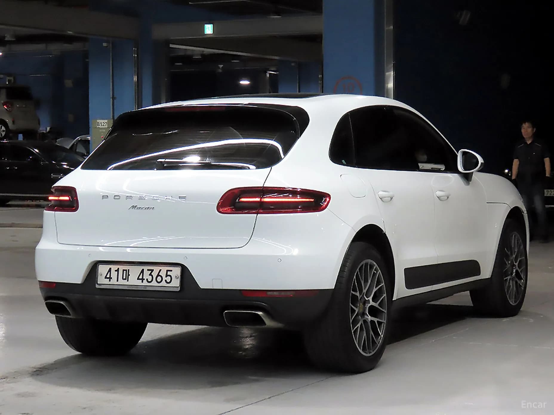 Macan