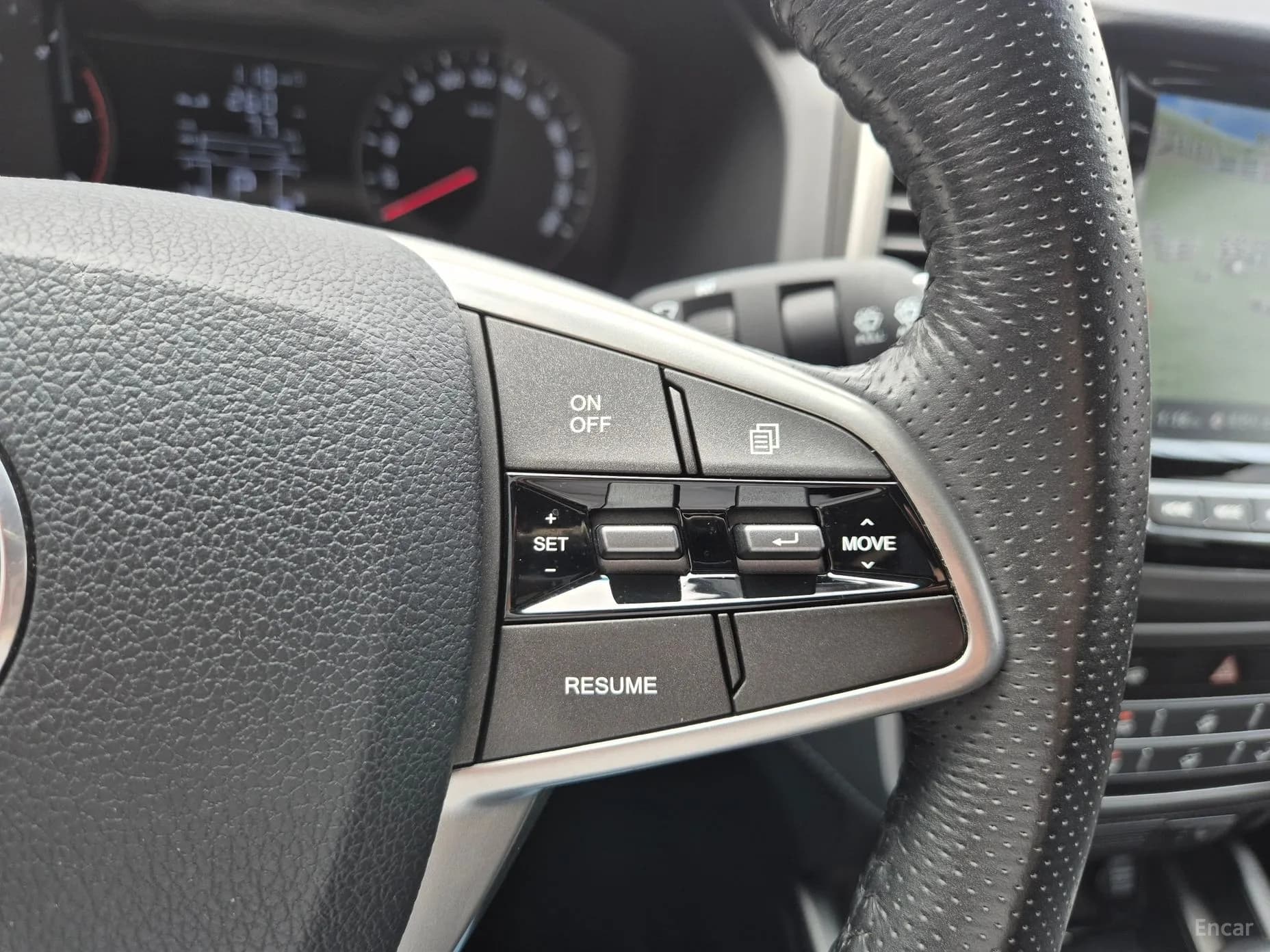 Rexton Sports