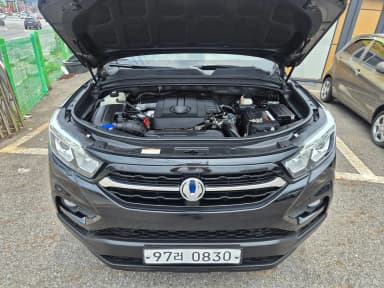 Rexton Sports