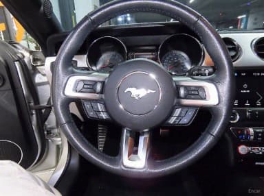Mustang