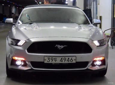 Mustang