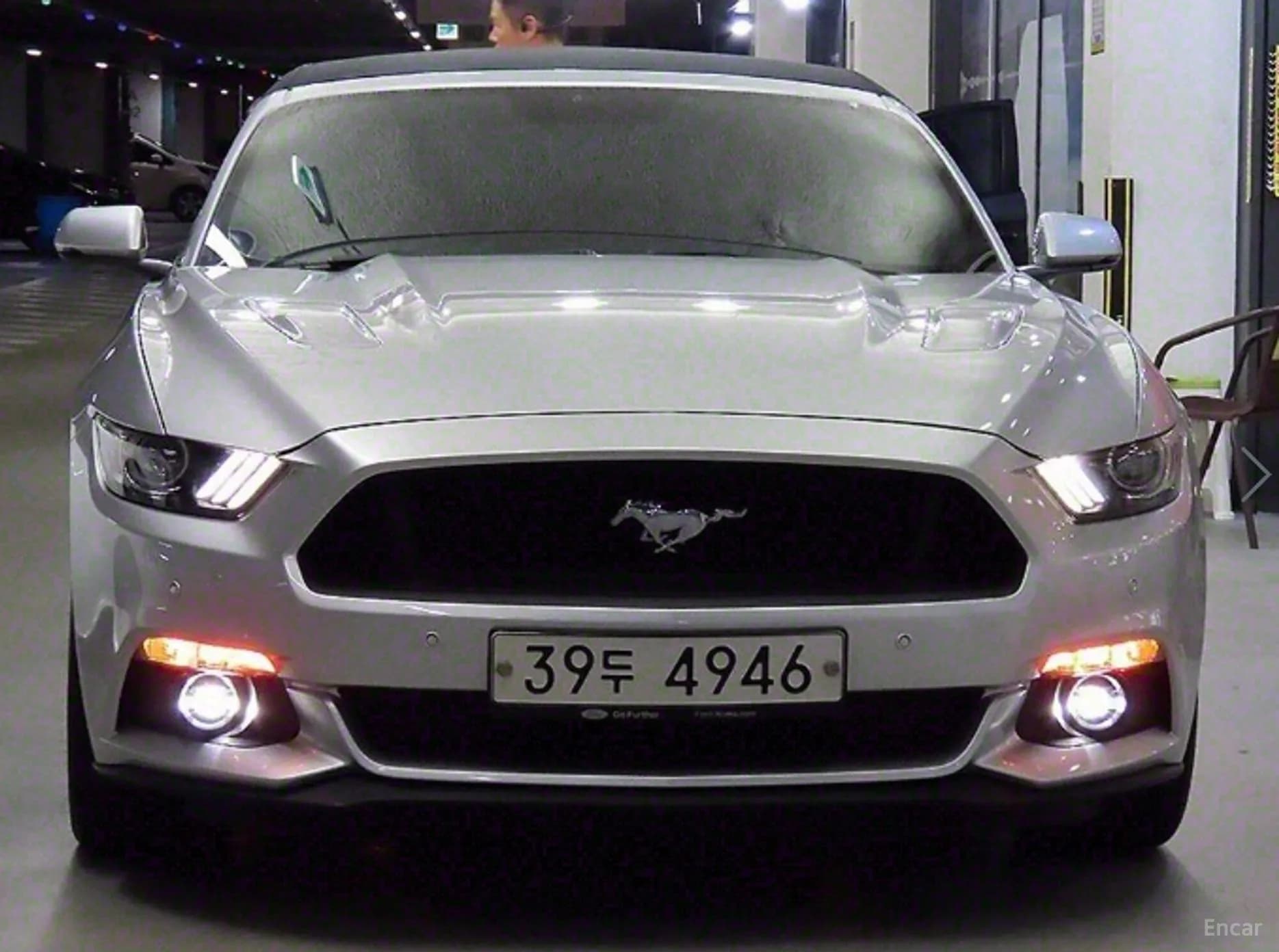 Mustang