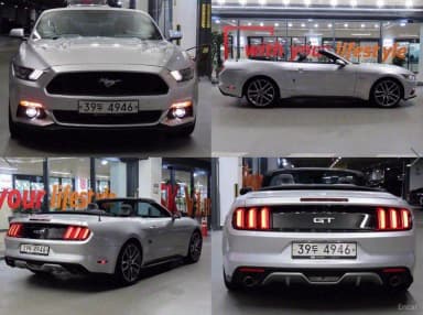 Mustang