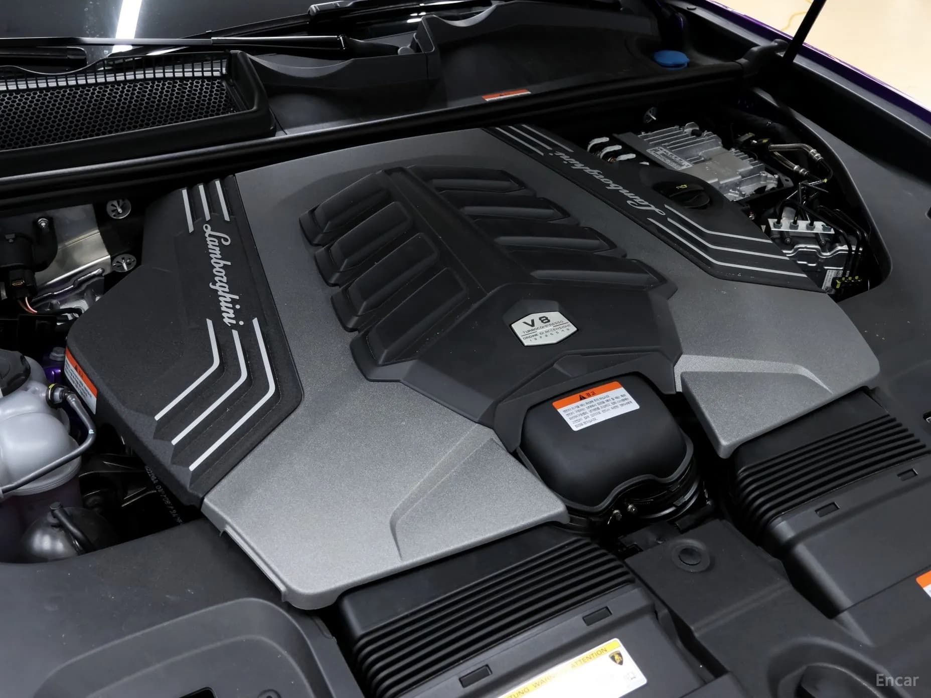 Urus