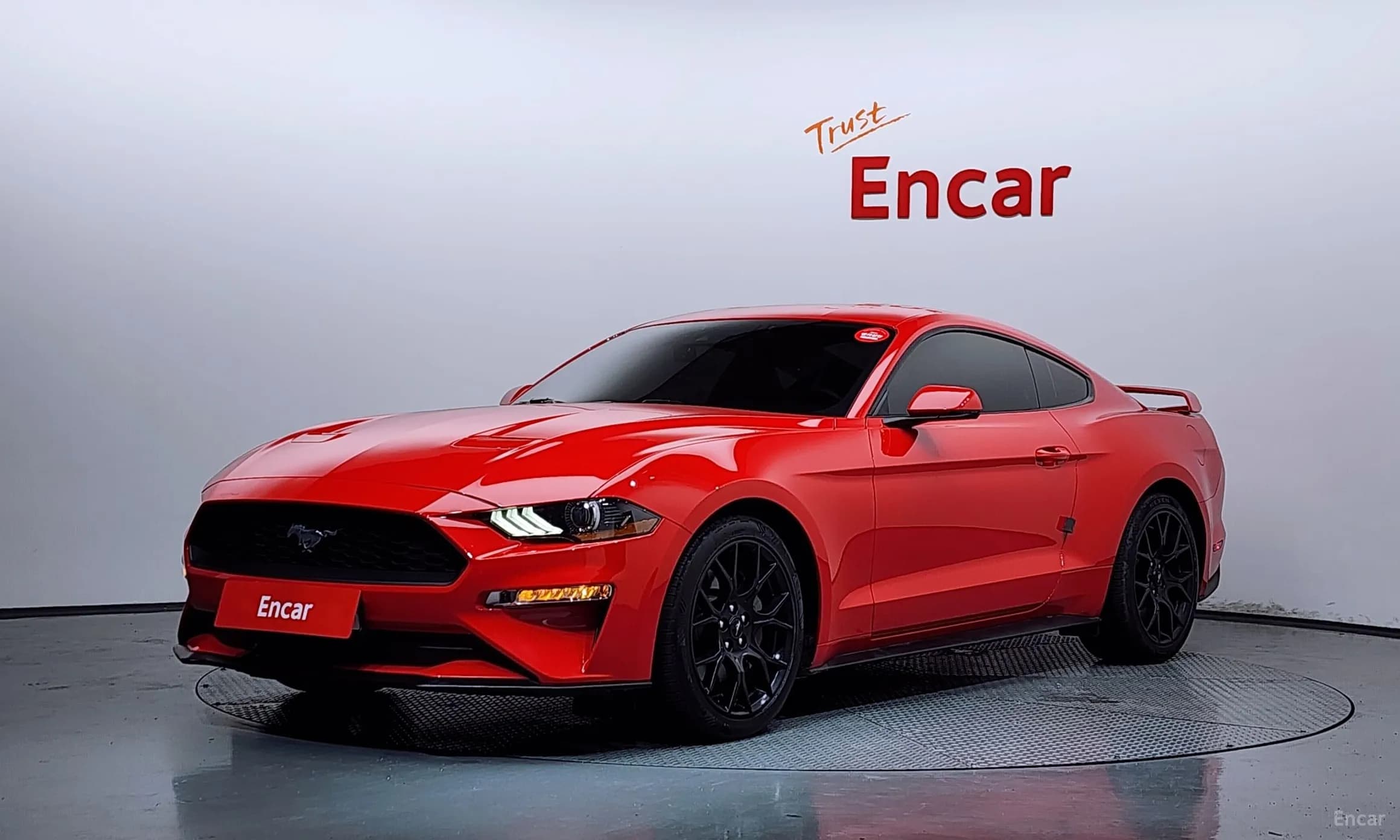 Mustang