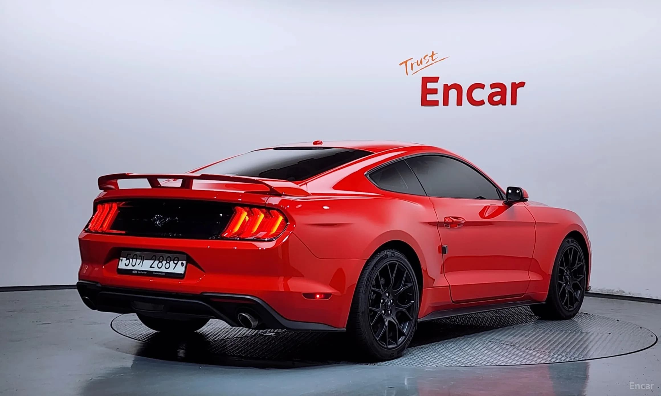 Mustang