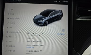 Model X