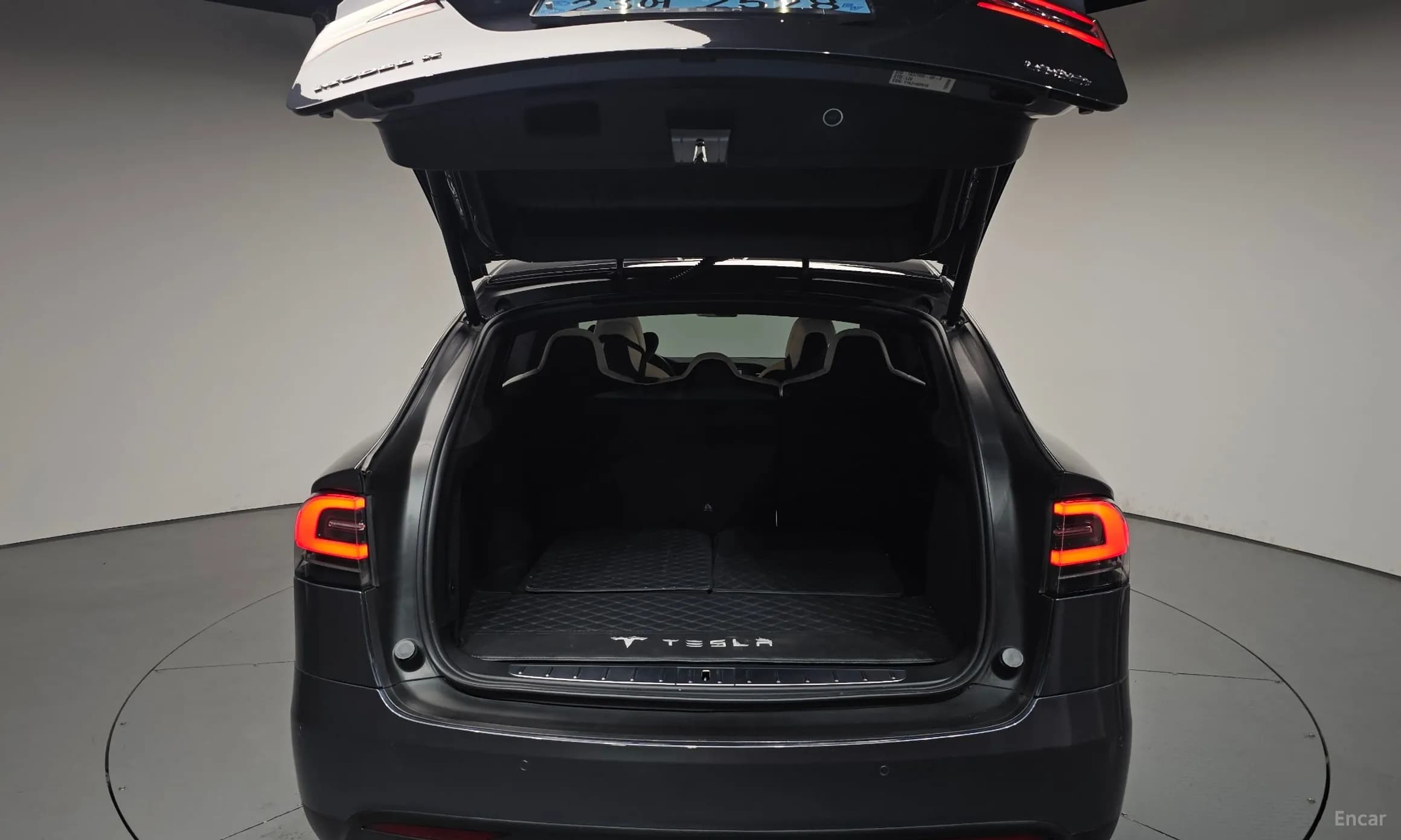 Model X