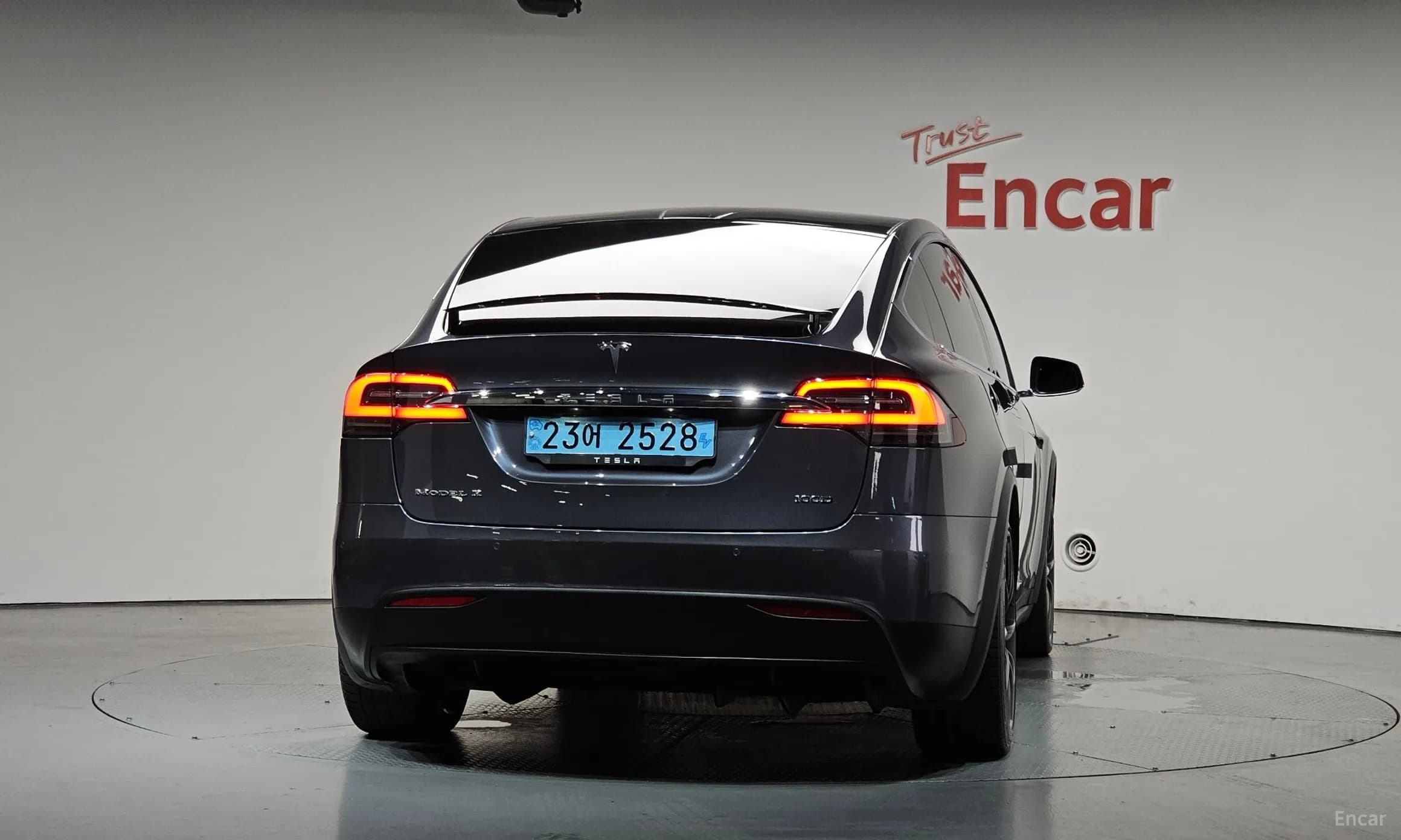 Model X