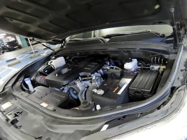 Rexton Sports