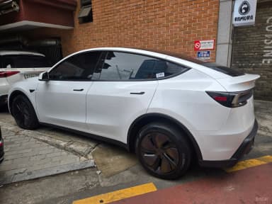 Model Y