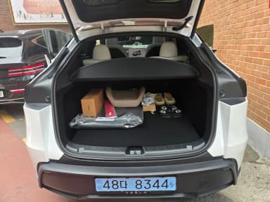 Model Y