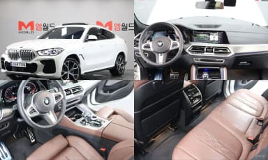 X6 (G06)