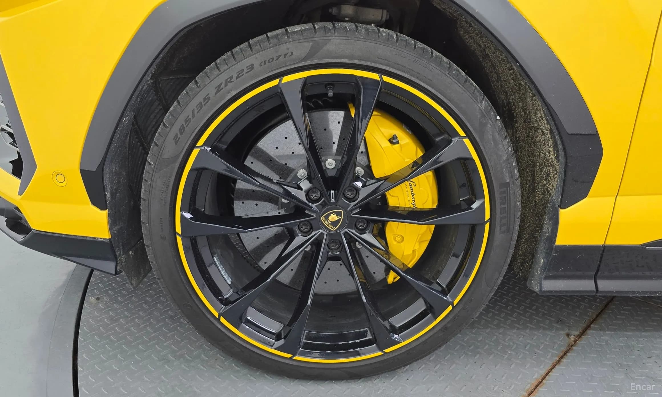Urus