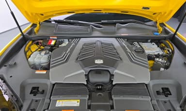 Urus