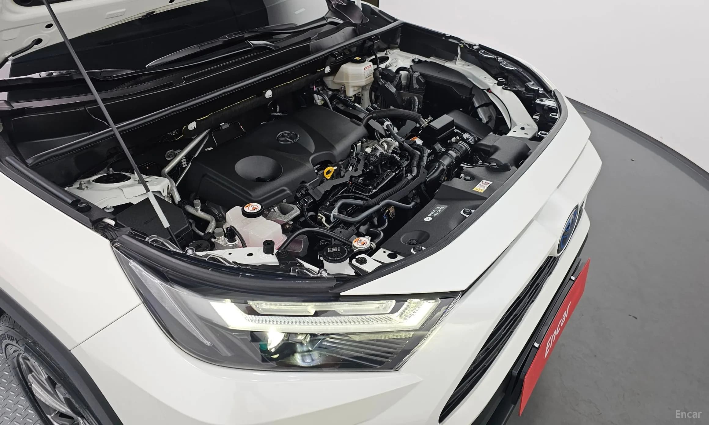RAV4 5th Generation