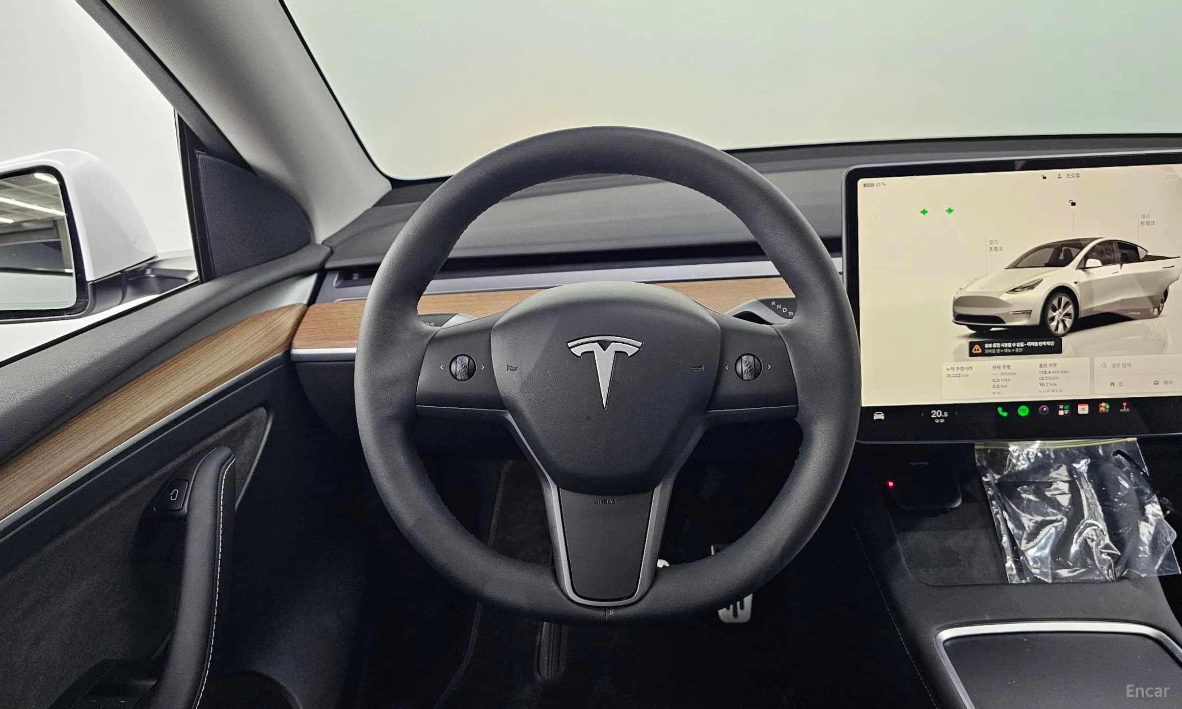 Model Y