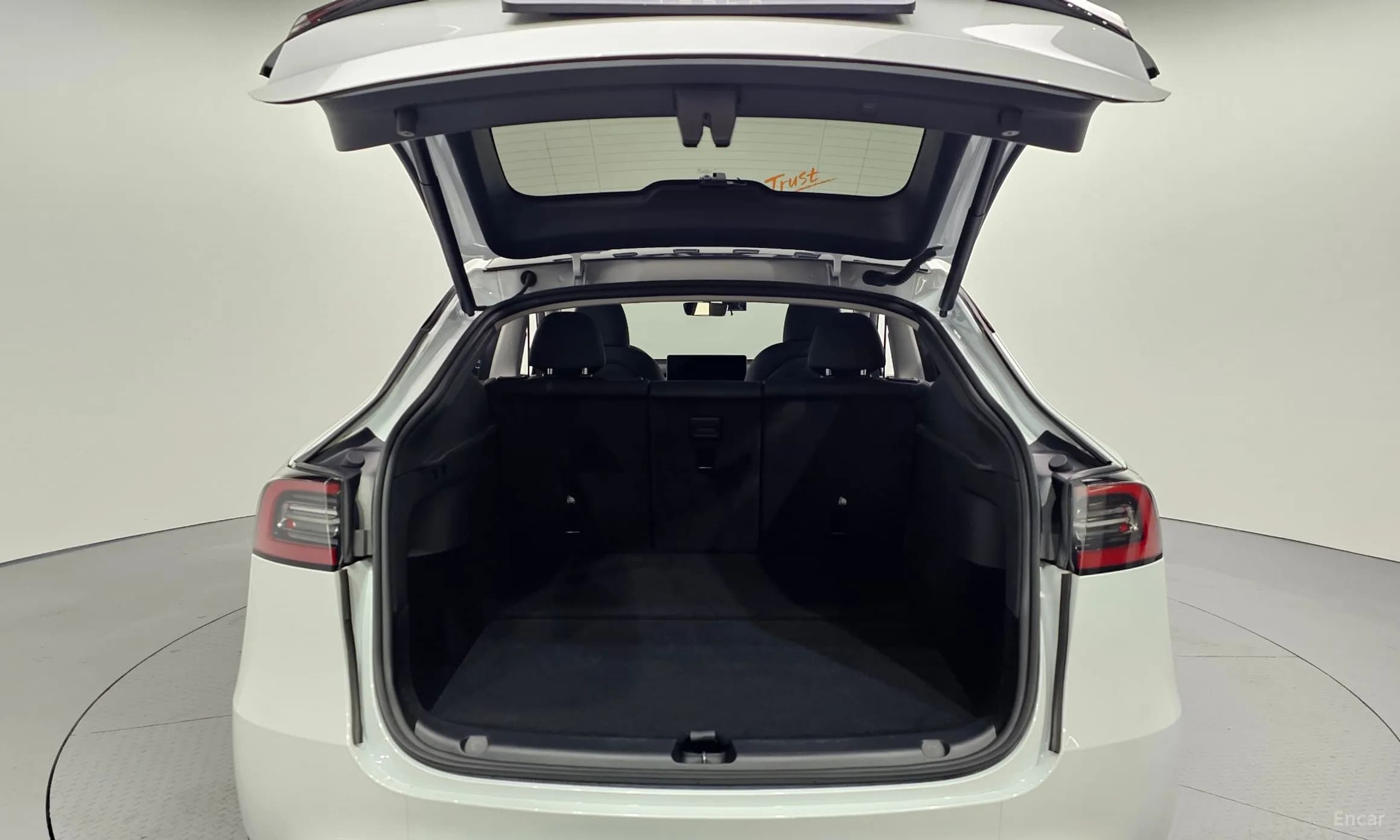 Model Y