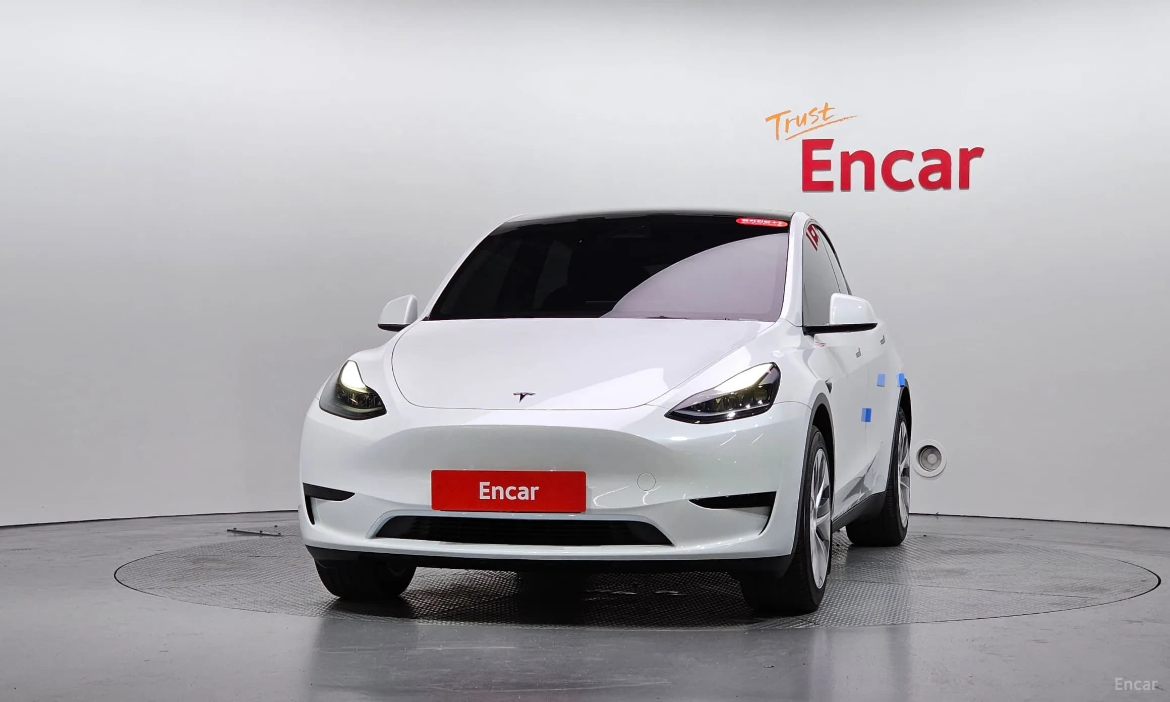 Model Y